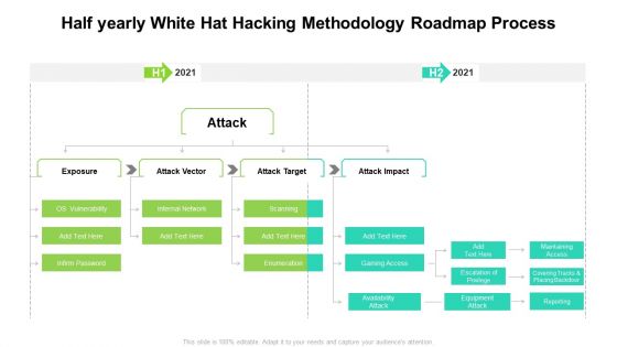 Half Yearly White Hat Hacking Methodology Roadmap Process Professional