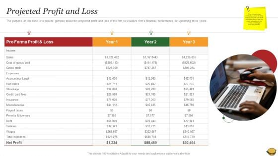 Hamburger Commerce Company Analysis Projected Profit And Loss Sample PDF