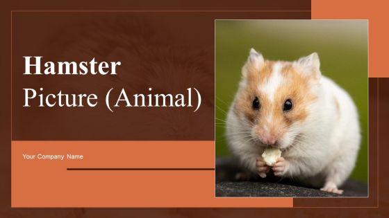 Hamster Picture Animal Ppt PowerPoint Presentation Complete Deck With Slides