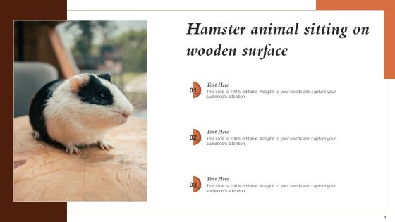 Hamster Picture Animal Ppt PowerPoint Presentation Complete Deck With Slides Slide04