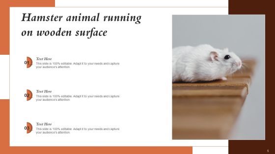 Hamster Picture Animal Ppt PowerPoint Presentation Complete Deck With Slides Slide05