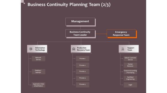 Hazard Administration Business Continuity Planning Team Network Ppt Professional Influencers PDF