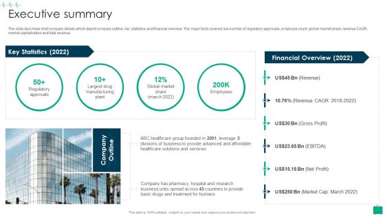 Healthcare Services Company Profile Executive Summary Themes PDF