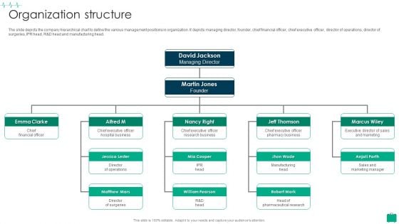 Healthcare Services Company Profile Organization Structure Infographics PDF