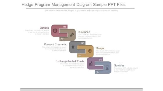 Hedge Program Management Diagram Sample Ppt Files