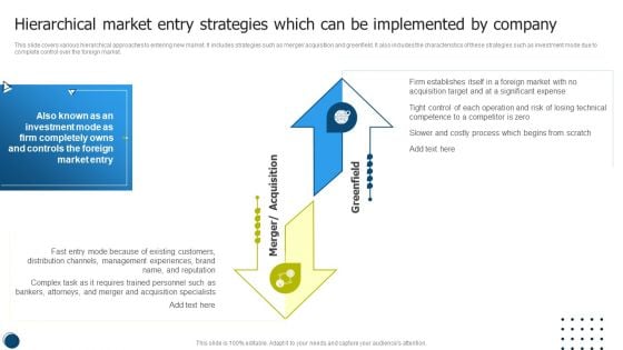 Hierarchical Market Entry Strategies Which Can Be Implemented By Company Pictures PDF