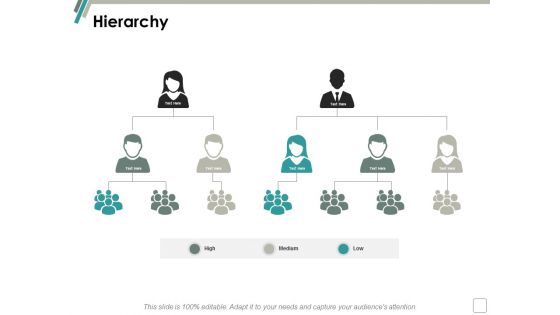 Hierarchy Business Management Ppt Powerpoint Presentation Icon Display