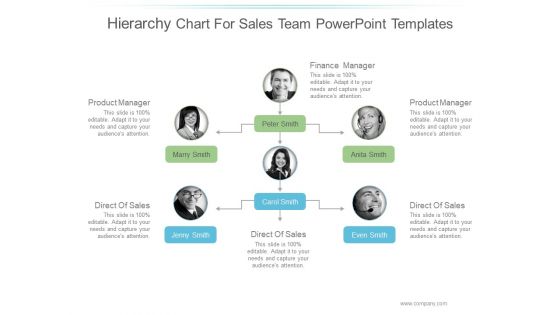 Hierarchy Chart For Sales Team Ppt PowerPoint Presentation Samples Hierarchy Chart For Sales Team Ppt PowerPoint Presentation Samples