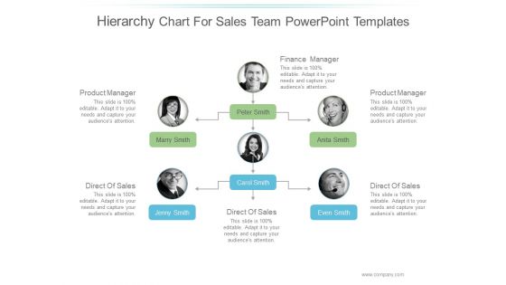 Hierarchy Chart For Sales Team Ppt PowerPoint Presentation Samples