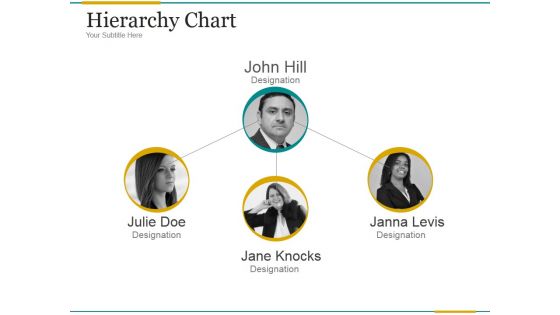 Hierarchy Chart Ppt PowerPoint Presentation Visuals