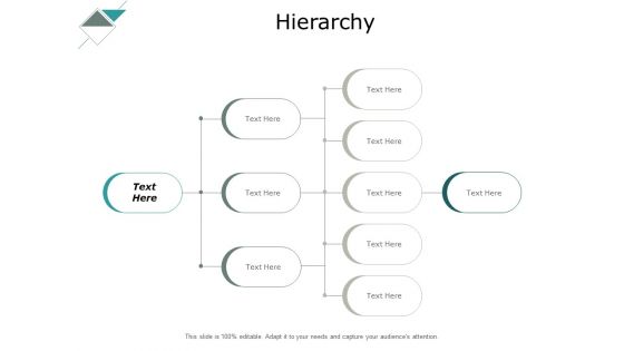 Hierarchy Management Ppt PowerPoint Presentation Portfolio Designs