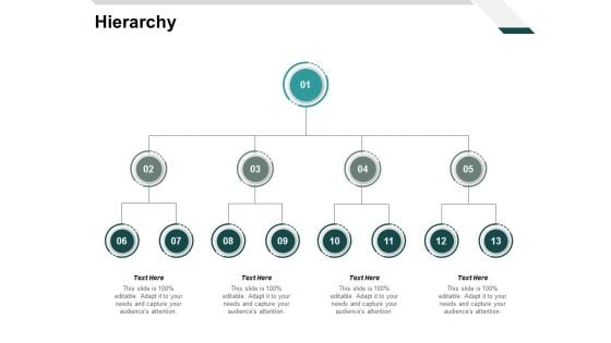 Hierarchy Management Ppt PowerPoint Presentation Slides Design Ideas