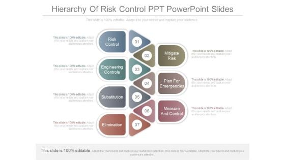 Hierarchy Of Risk Control Ppt Powerpoint Slides