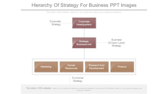 Hierarchy Of Strategy For Business Ppt Images