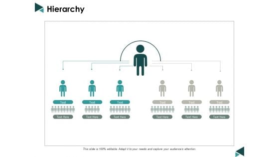 Hierarchy Ppt Powerpoint Presentation File Maker