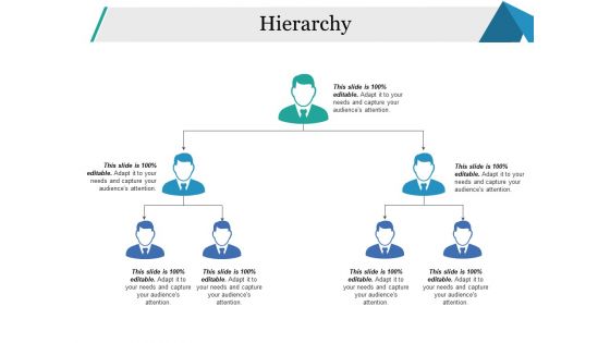 Hierarchy Ppt PowerPoint Presentation Gallery Example