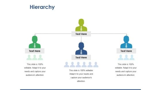 Hierarchy Ppt PowerPoint Presentation Icon Graphics Download