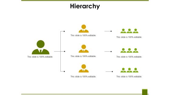 Hierarchy Ppt PowerPoint Presentation Infographics Deck