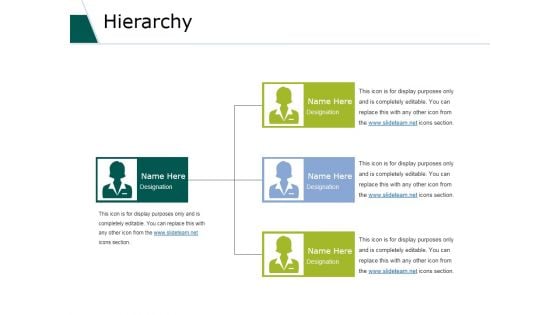 Hierarchy Ppt PowerPoint Presentation Infographics Example