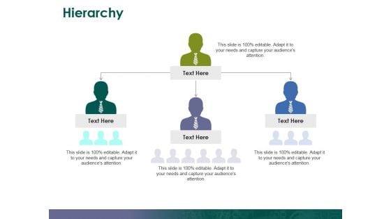 Hierarchy Ppt PowerPoint Presentation Outline Examples