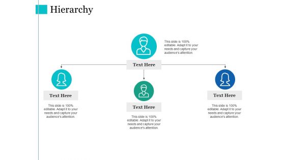 Hierarchy Ppt PowerPoint Presentation Pictures Graphics