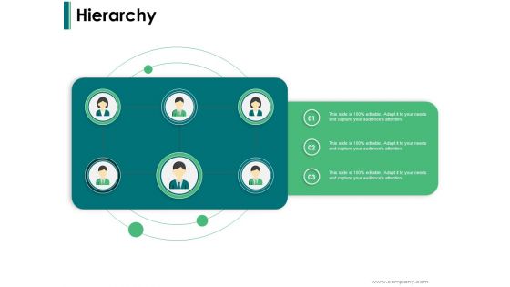 Hierarchy Ppt PowerPoint Presentation Portfolio Vector