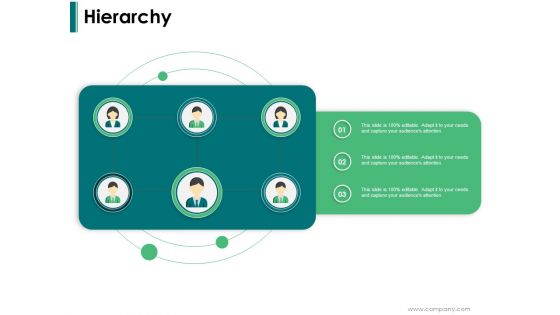 Hierarchy Ppt PowerPoint Presentation Portfolio Vector Hierarchy Ppt PowerPoint Presentation Portfolio Vector