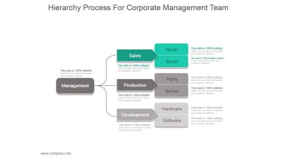 Hierarchy Process For Corporate Management Team Ppt Slide