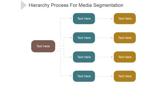 Hierarchy Process For Media Segmentation Ppt PowerPoint Presentation Guidelines