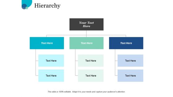 Hierarchy Process Ppt PowerPoint Presentation File Background Designs