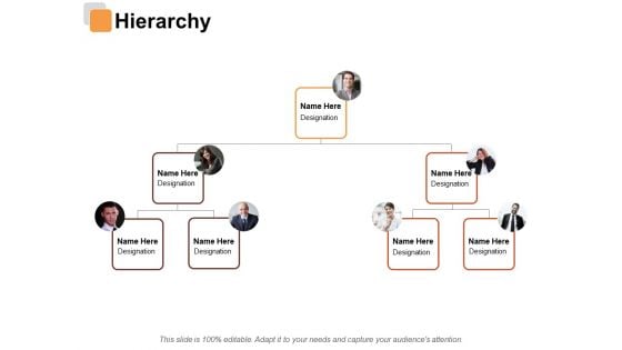 Hierarchy Risk Estimator Ppt PowerPoint Presentation File Slide