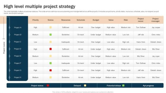 High Level Multiple Project Strategy Inspiration PDF