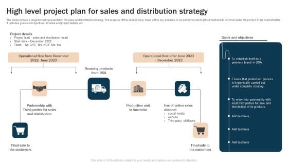 High Level Project Plan For Sales And Distribution Strategy Pictures PDF