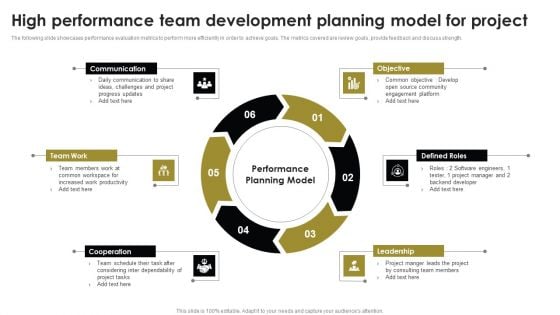 High Performance Team Development Planning Model For Project Brochure PDF