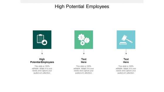 High Potential Employees Ppt PowerPoint Presentation Show Background Cpb