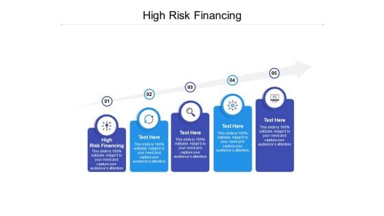 High Risk Financing Ppt PowerPoint Presentation Microsoft Cpb