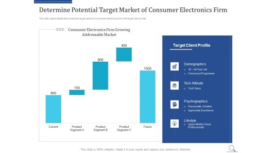 Home Appliances Producer Seed Determine Potential Target Market Of Consumer Electronics Firm Summary PDF