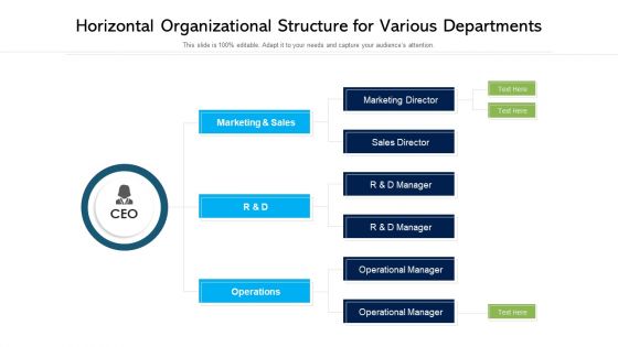 Horizontal Organizational Structure For Various Departments Ppt PowerPoint Presentation Icon Deck PDF