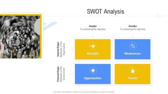 Hospital Management System SWOT Analysis Summary PDF