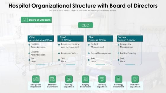 hospital organizational structure with board of directors summary pdf