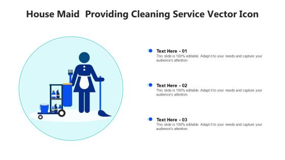 House Maid Providing Cleaning Service Vector Icon Ppt Infographic Template Slide PDF