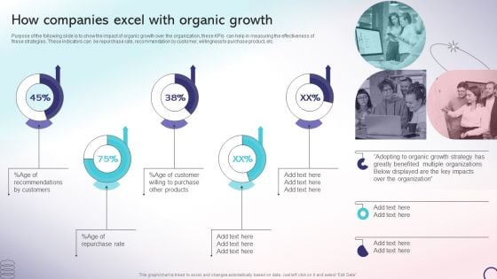 How Companies Excel With Organic Growth Strategic Playbook For Internal Sales Advancement Structure PDF