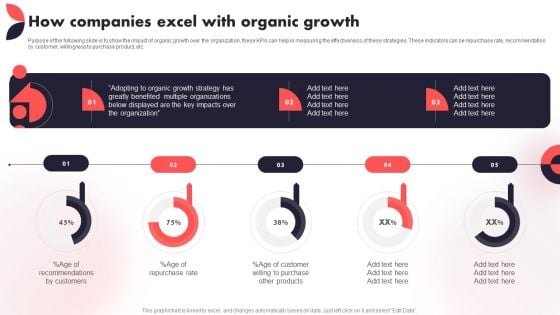 How Companies Excel With Organic Growth Year Over Year Business Success Playbook Guidelines PDF