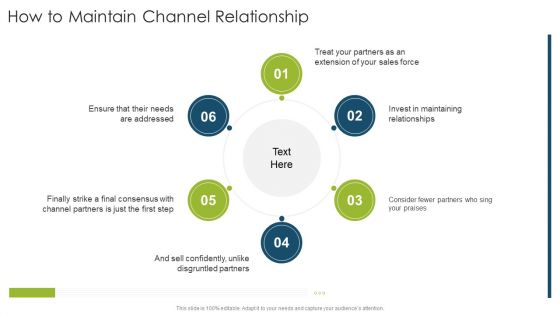 How To Maintain Channel Relationship Organizational Strategies And Promotion Techniques Inspiration PDF