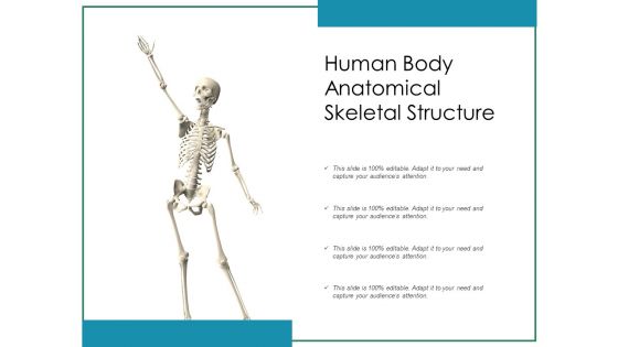 Human Body Anatomical Skeletal Structure Ppt PowerPoint Presentation File Backgrounds PDF