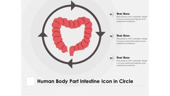 Human Body Part Intestine Icon In Circle Ppt PowerPoint Presentation Summary Guidelines PDF