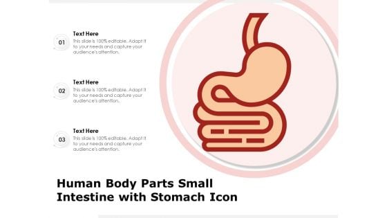 Human Body Parts Small Intestine With Stomach Icon Ppt PowerPoint Presentation Layouts Grid PDF