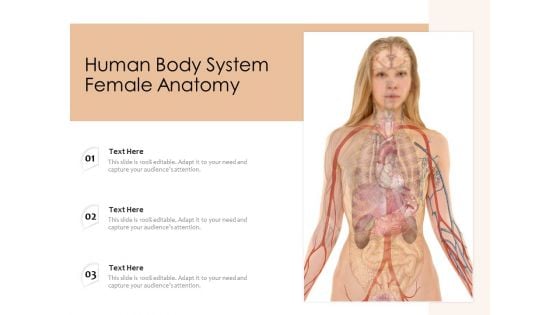 Human Body System Female Anatomy Ppt PowerPoint Presentation Icon Pictures PDF
