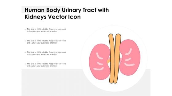 Human Body Urinary Tract With Kidneys Vector Icon Ppt PowerPoint Presentation Icon Model PDF