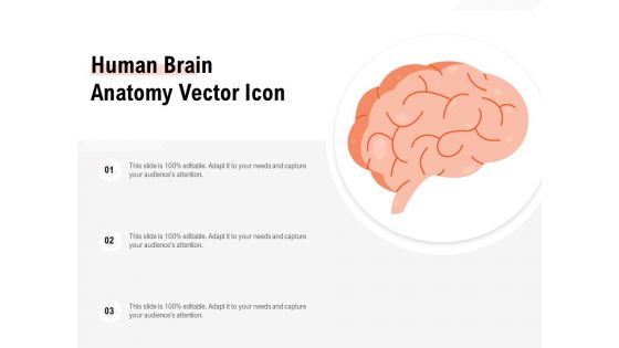 Human Brain Anatomy Vector Icon Ppt PowerPoint Presentation File Samples